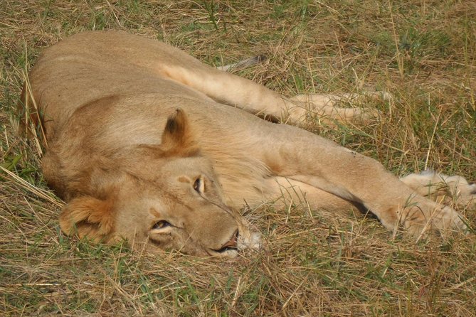 Lake Nakuru National Park Day Tour Via Lake Naivasha - Transition to Lake Naivasha: from dust and grass to water and birds