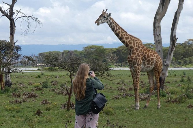 Lake Nakuru National Park: Day Trip from Nairobi - Price and value: $170 plus the real cost of entrance