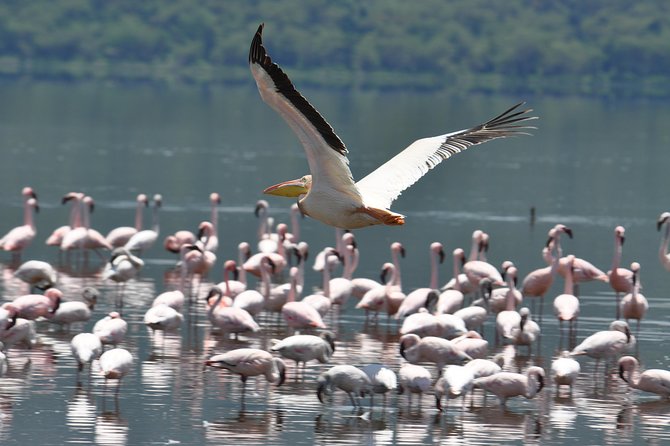 Lake Nakuru National Park daytrip - Descending the escarpment: distant lake views and an extinct volcanic mountain
