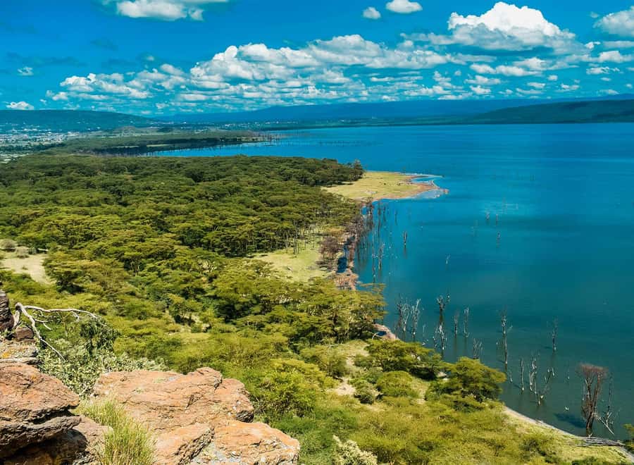 Lake Nakuru National Park: Daytrip in a 4X4 Private Jeep - From Nairobi to the Rift Valley, with real time for viewing