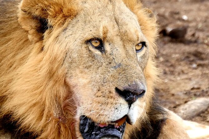 Lake Nakuru NP Half-Day Safari - Meeting at Westside Mall and the 6:30am Start