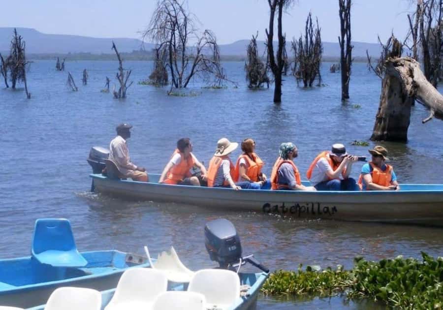Lakes Nakuru& Naivasha National Park Wildlife Highlights - Price and logistics: is $180 good value for this day?