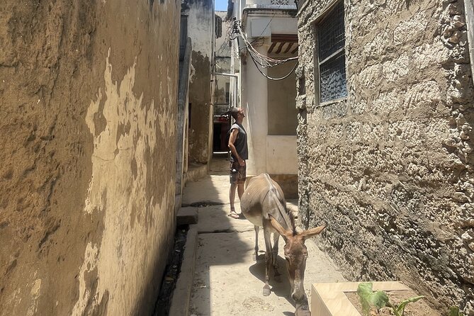 Lamu Old Town Walking Tour - Lamu Fort and Lamu Museum, and the Oman to British timeline