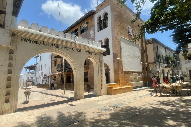 Lamu Old Town Walking Tour - Meet Kassim at Lamu Town Square, and what the timing really means