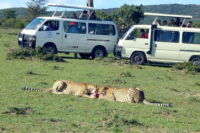 Maasai Mara 2-Day Safari Tour from Nairobi - Key Points I’d Plan Around