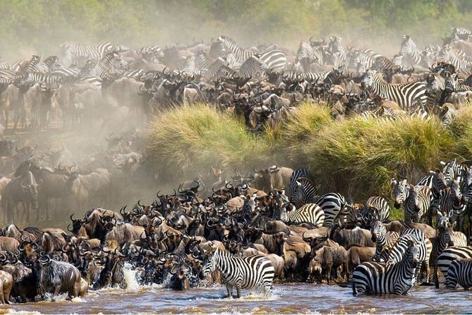 Maasai Mara 3 Day Guided Tour - From Nairobi to the Great Rift Valley viewpoints