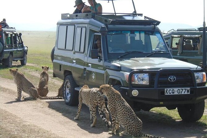 Maasai Mara 3 Day Guided Tour - Day 3: one last Mara game drive on the way back to Nairobi