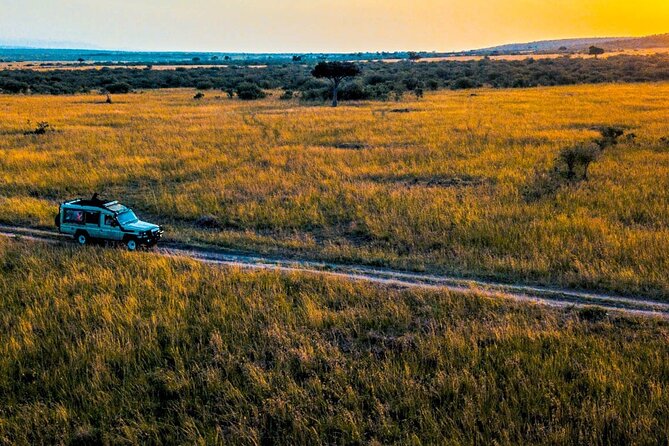 Maasai Mara 3 Day Guided Tour - Price and value: what $768 per person actually buys