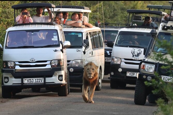 Maasai Mara Day Trip - Key things to know before you go