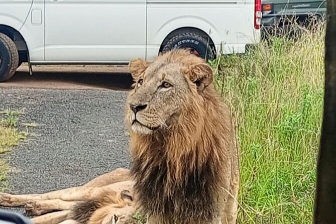 Maasai Mara Day Trip - Wildlife You Can Expect, Even With Limited Time