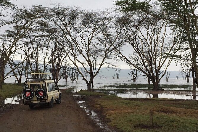 Maasai Mara Day Trip - Should You Book? My Practical Decision Guide