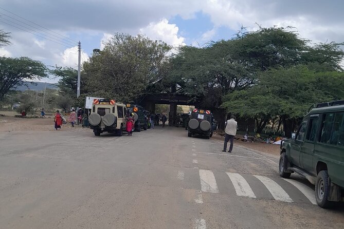 Maasai Mara Day Trip From Nairobi - The practical side: timing, duration, and what your day will feel like
