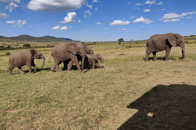 Maasai Mara Safari!! - Getting From Nairobi to the Mara: The Value of Starting Early
