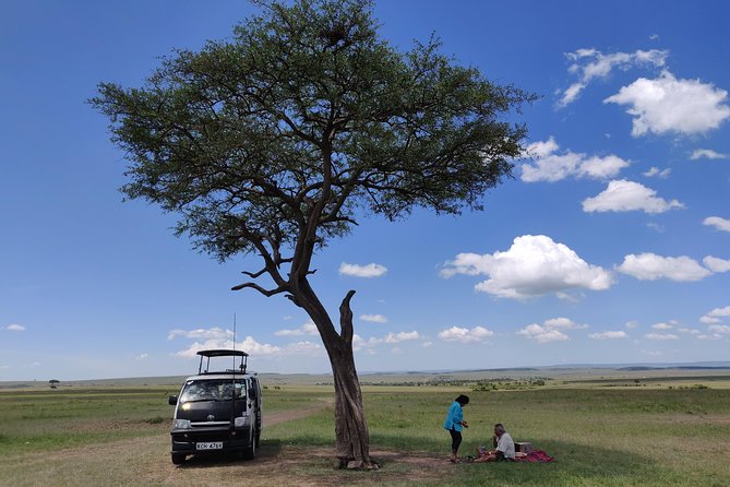 Maasai Mara Safari!! - Day 3: The Maasai Village Option Versus the Nairobi Return