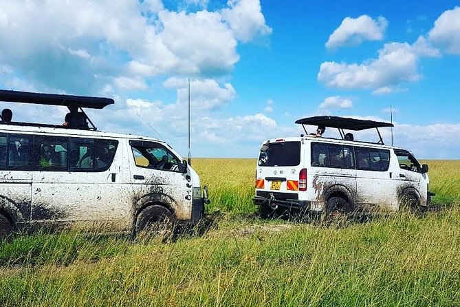 Maasai Mara Safari!! - Packing and Timing Tips That Make Safari Life Easier