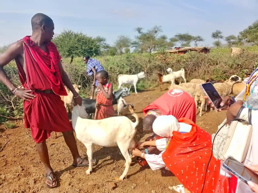 Maasai Village: Cultural Experience of The Maasai Tradition - Fire-Making Without Matches: The Activity That Changes Your Perspective