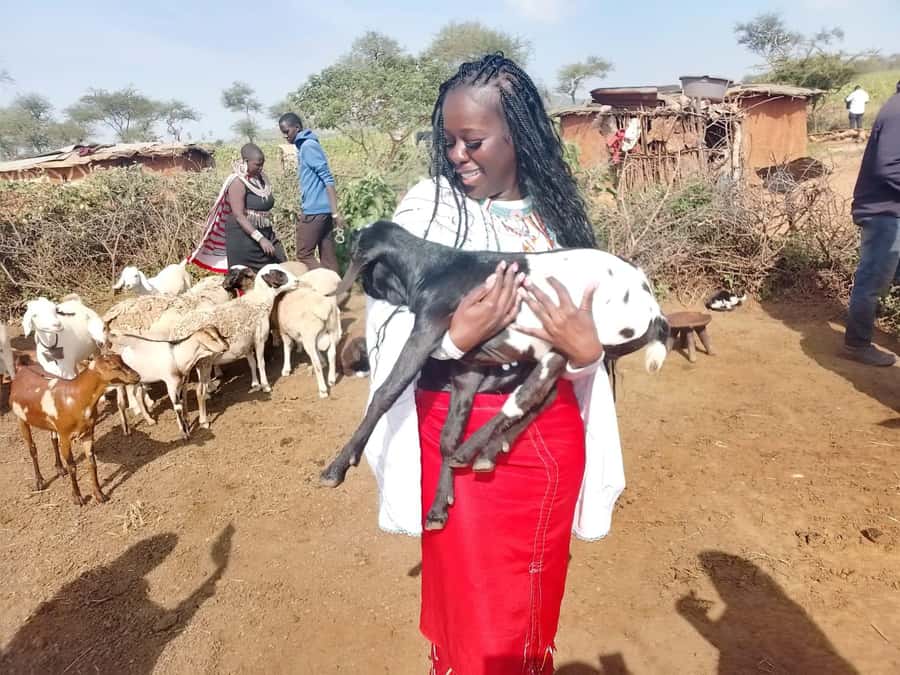 Maasai Village: Cultural Experience of The Maasai Tradition - Price, Entry Fees, and Whether the Value Works for You