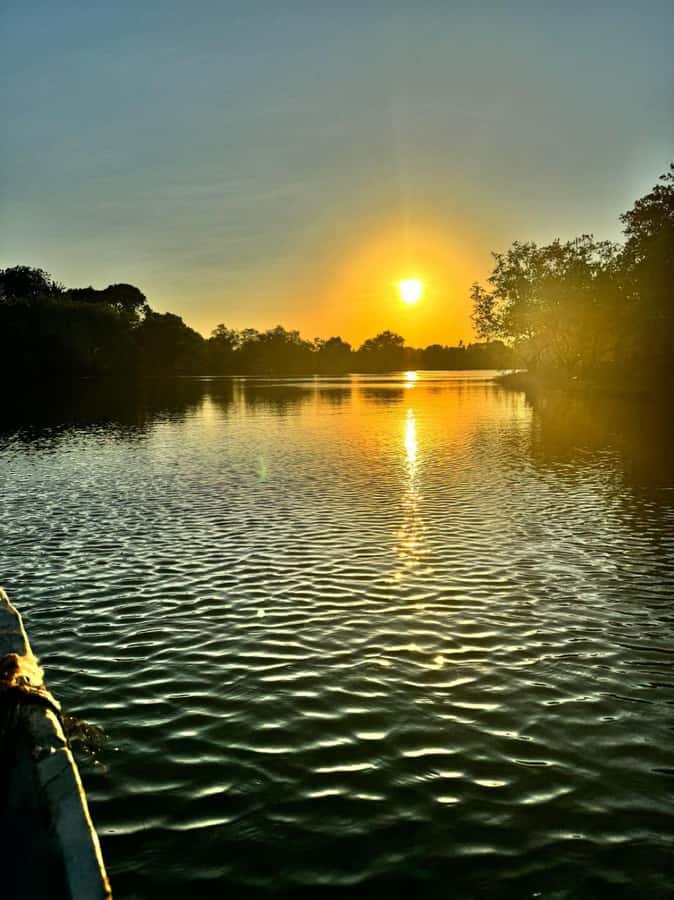 mangrove tour - Key Things You’ll Notice on This Mangrove Canoe Tour