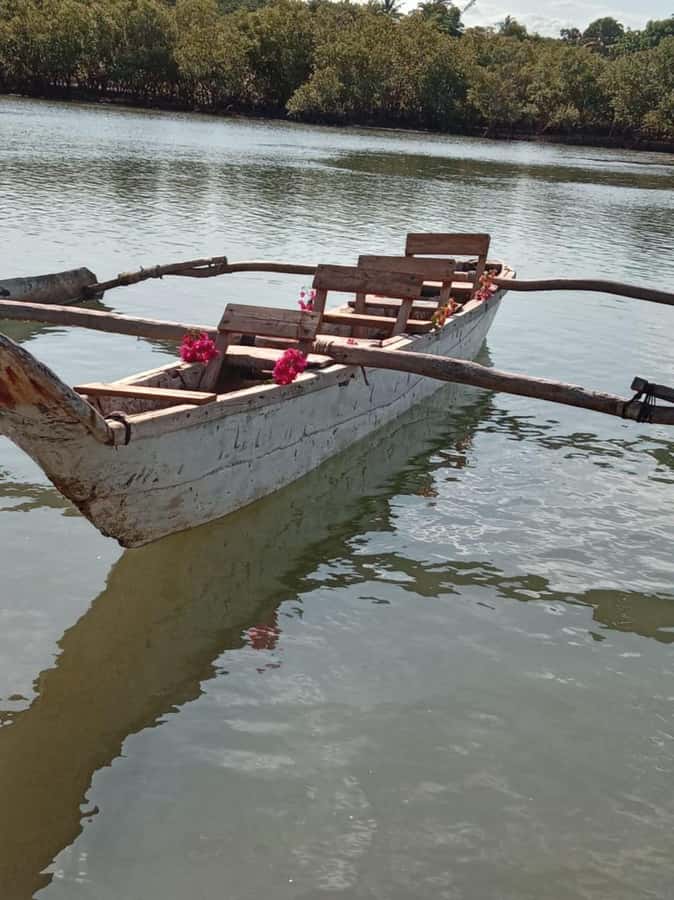 mangrove tour - Included vs Not Included: Plan Your Own Refreshments