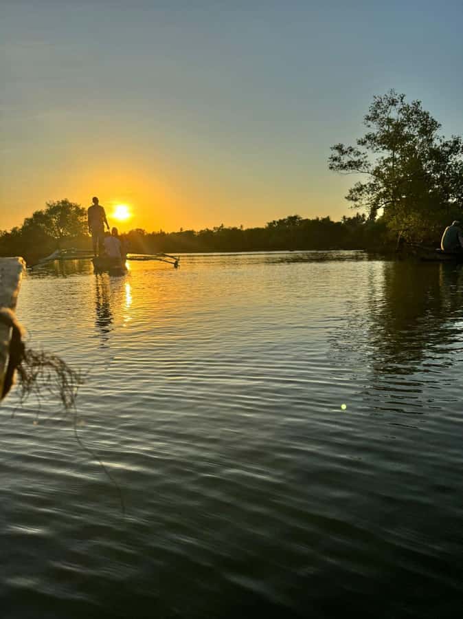 mangrove tour - Where You Go: From Diani Beach to the Kongo River