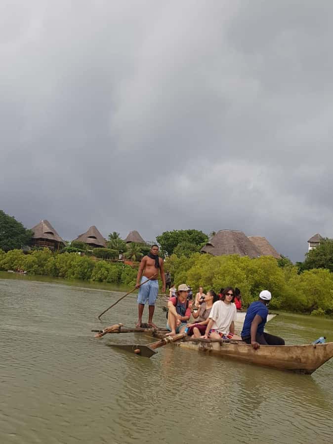 mangrove tour - Birdwatching in the Mangroves: What You’re Actually Looking For