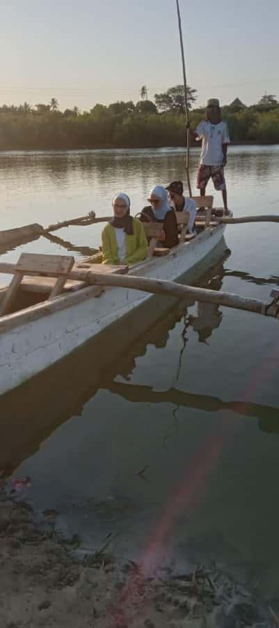 mangrove tour - Mangroves Up Close: Why This Feels So Relaxing