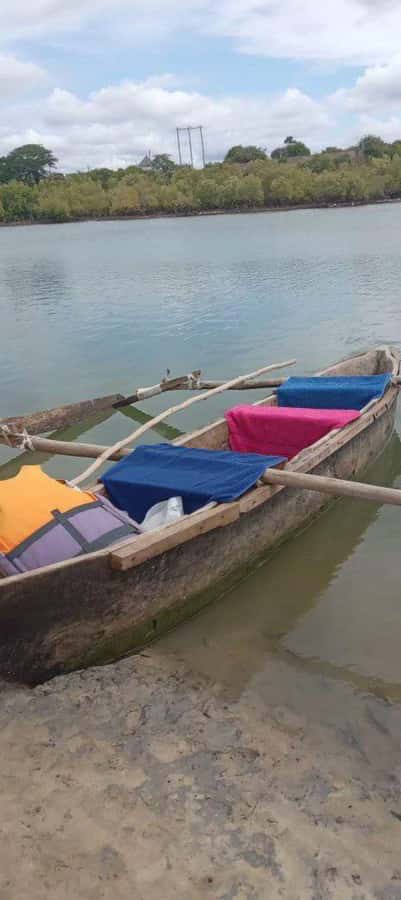 mangrove tour - Transfers, Timing, and the Two-Hour Reality Check