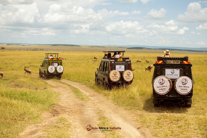 Masai Mara 3 Days Tour Safari Private 4WD Landcruiser - Private Maasai Mara safari in a 4WD Land Cruiser, minus the guesswork