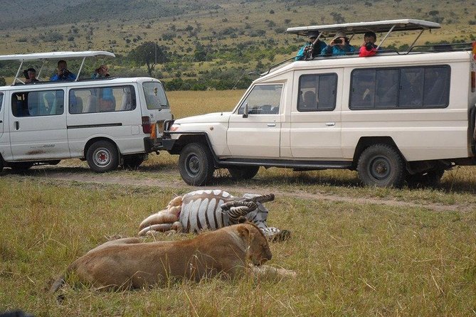 Masai Mara Budget 2 nights tented camp road Safari - Key points to know before you go