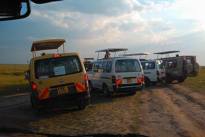 Masai Mara Budget 2 nights tented camp road Safari - Day 2 in Masai Mara: The Big Five Search Gets a Full Day