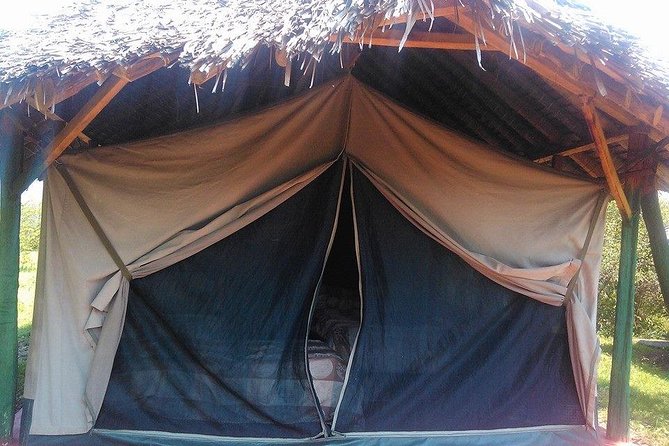 Masai Mara Budget 2 nights tented camp road Safari - Picnic Boxes and the Rhythm of a Safari Day