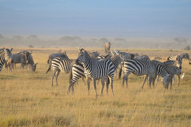 Masai Mara classic safari with optional Masai Village - Food, water, and timing: what’s included and what isn’t