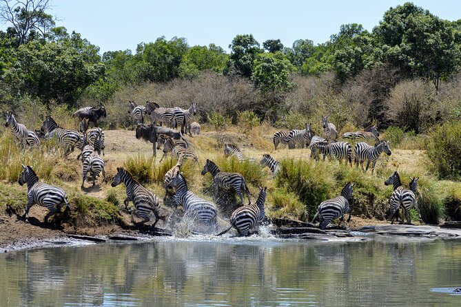 Masai Mara classic safari with optional Masai Village - The safari van with a pop-up roof, why it matters