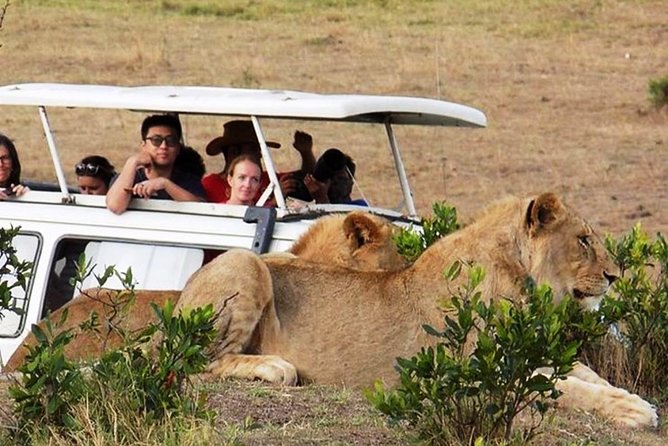 Masai Mara Game Reserve Safari Tour, 4 Days 3 Nights - Hot air balloon safari is optional, so plan for weather reality