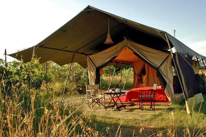 Masai Mara Game Reserve Safari Tour, 4 Days 3 Nights - Day 3: Full-day game drive or early morning plus afternoon