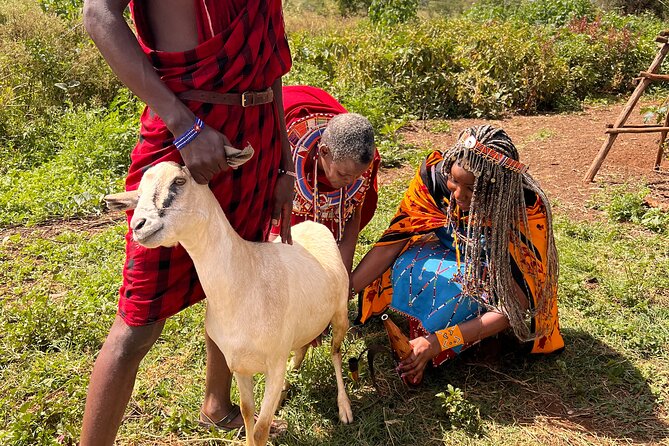 Masai village Cultural afternoon Experience - Kajiado County village stop: cooking, weaving, goats, and village life
