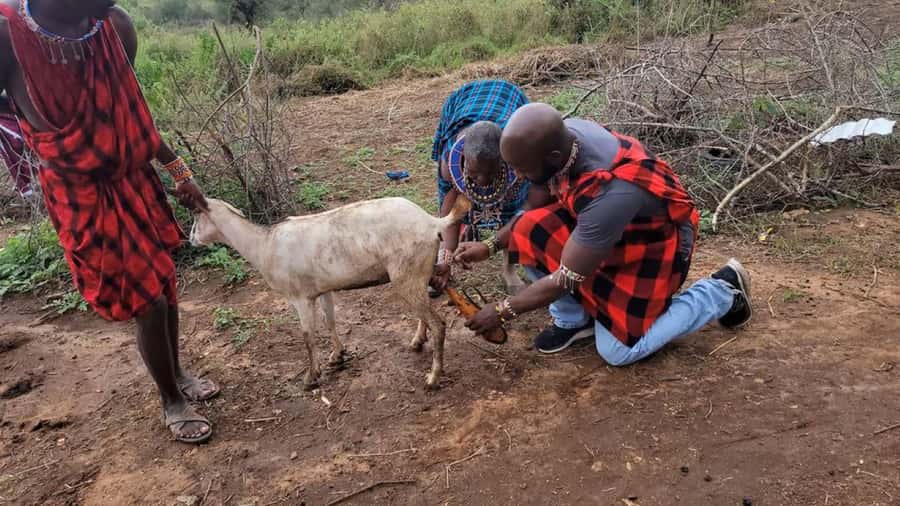 Masai Village Cultural Day Tour from Nairobi - Key highlights you’ll care about