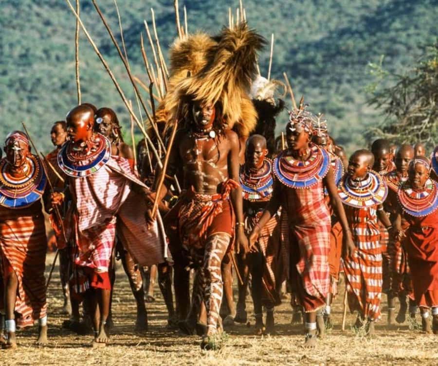 Masai Village Cultural Day Tour from Nairobi - Manyatta homestead tour: what you’ll actually see and why it matters