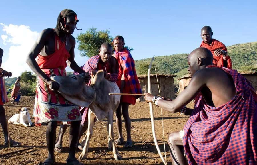 Masai Village Cultural Day Tour from Nairobi - Craft market browsing, and how to spend without overshooting