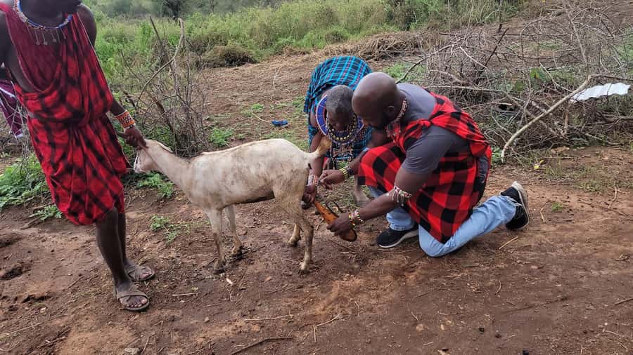 Masai Village Experience (Day trip) - Key Highlights Worth Your Time
