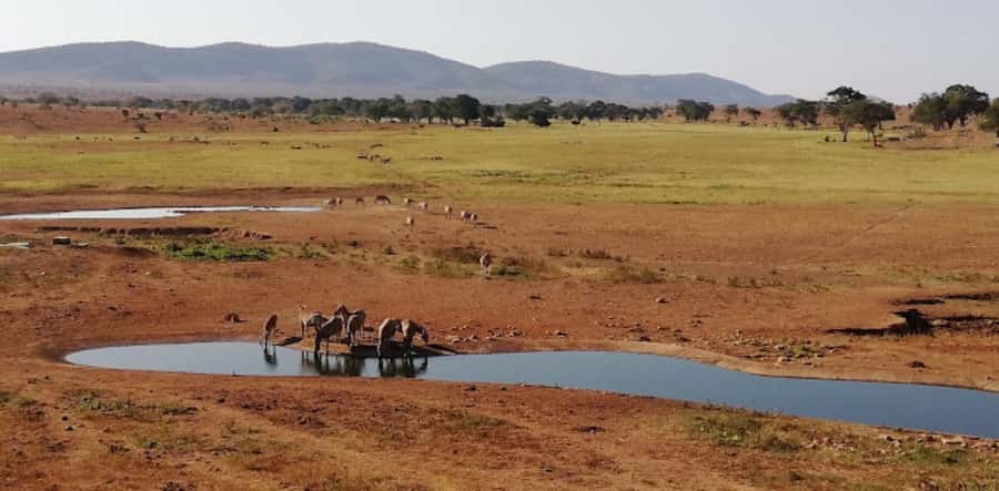 Mombasa: 2-Day Safari to Taita Hills Game Sanctuary - Book it or pass: my quick decision guide