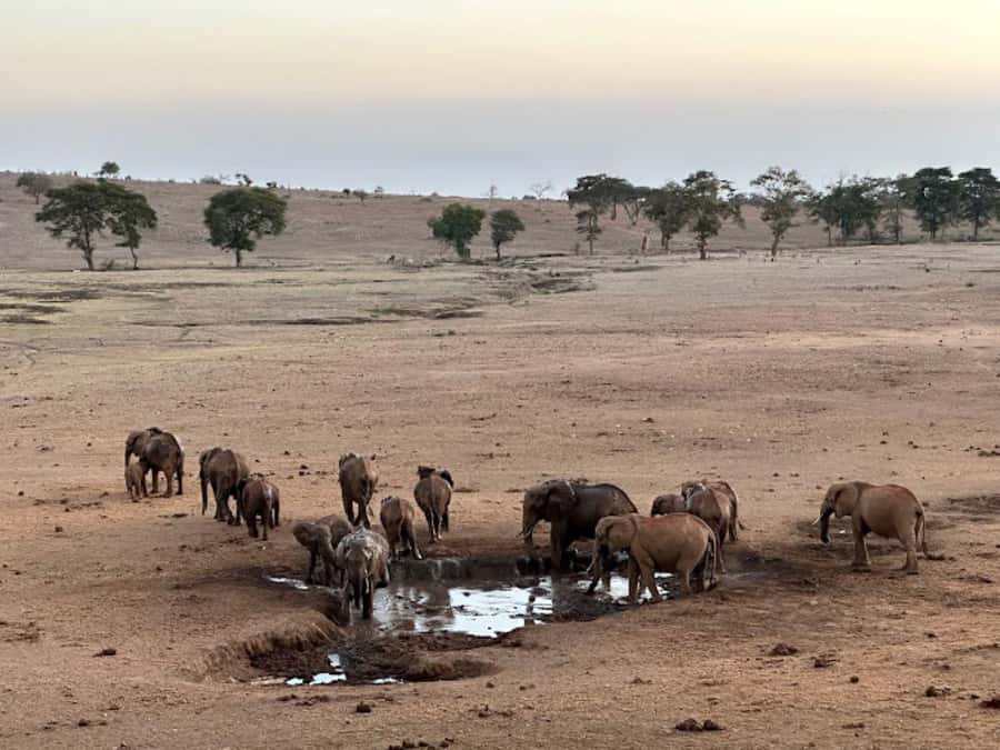 Mombasa: 2-Day Safari to Taita Hills Game Sanctuary - FAQ