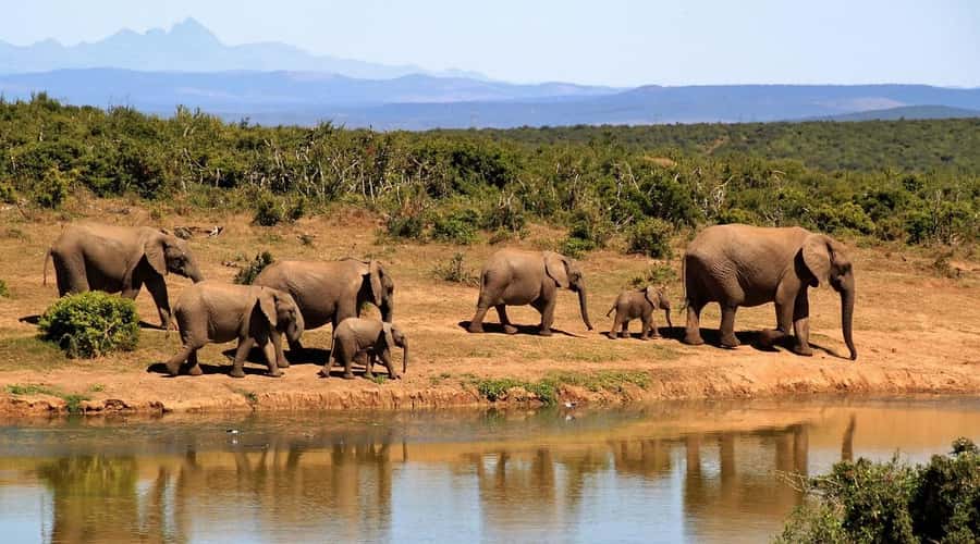 Mombasa: 3-Days 2-Nights Tsavo East and West Private Safari. - Tsavo East and West feel like two different worlds
