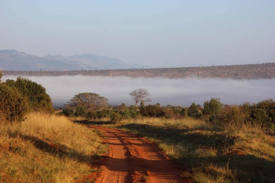 Mombasa: 3-Days 2-Nights Tsavo East and West Private Safari. - Day 2: Tsavo West to Tsavo East, open plains and red-dust elephants