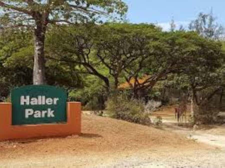 Mombasa: Discovery Day Tour and Haller Park - Price and value: where the $130 per person makes sense