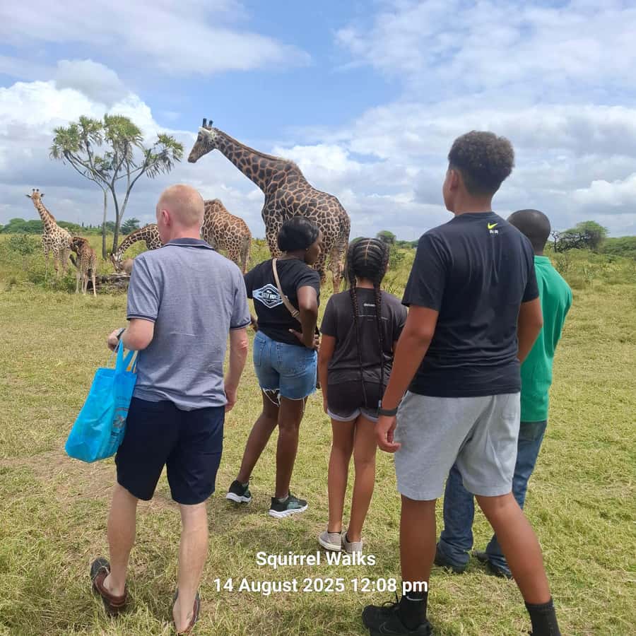 MOMBASA:FortJesus,OldCity,GiraffeOstrich,Oryx,Eland,WildTour - A full-day Mombasa mix that feels practical, not rushed