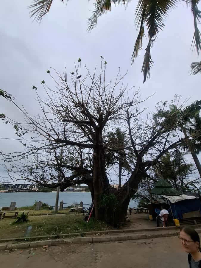 MOMBASA:FortJesus,OldTown,SpiceMarket, Shiva Temple DayTour. - Pickup, meeting point, and how the walking route keeps you oriented