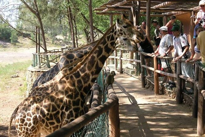 Mombasa Getaway with Haller Park Tours - Stop 1: Haller Park and the Quarry-to-Ecosystem Transformation