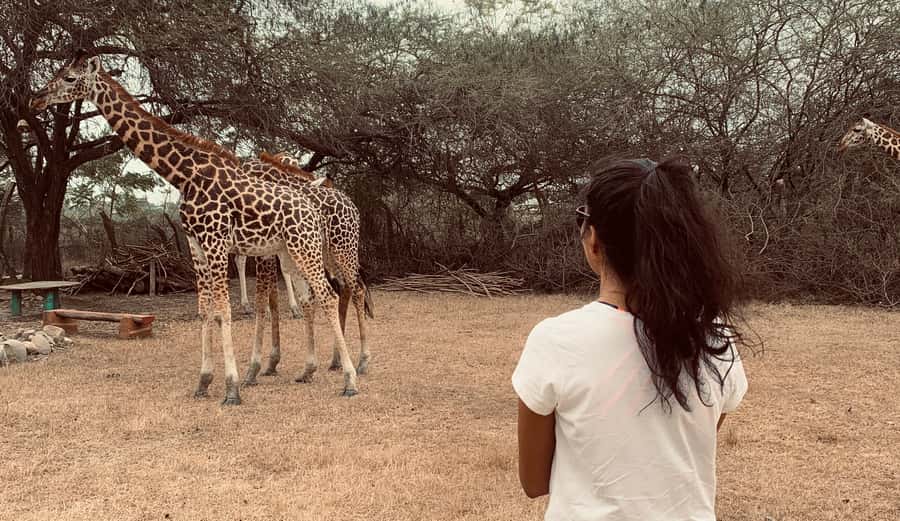 Mombasa: Guided Nature Walk Amongst Giraffes - Price and value: is $38 a fair deal for a 1-day giraffe walk?