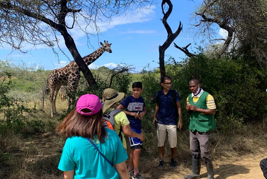 Mombasa: Guided Nature Walk Amongst Giraffes - FAQ